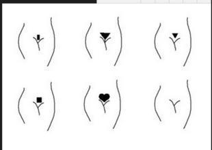 阴毛照片,阴毛的形态与性别特征解析