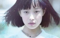 倪妮天涯八卦,娱乐圈的神秘面纱，揭秘天涯八卦背后的真相